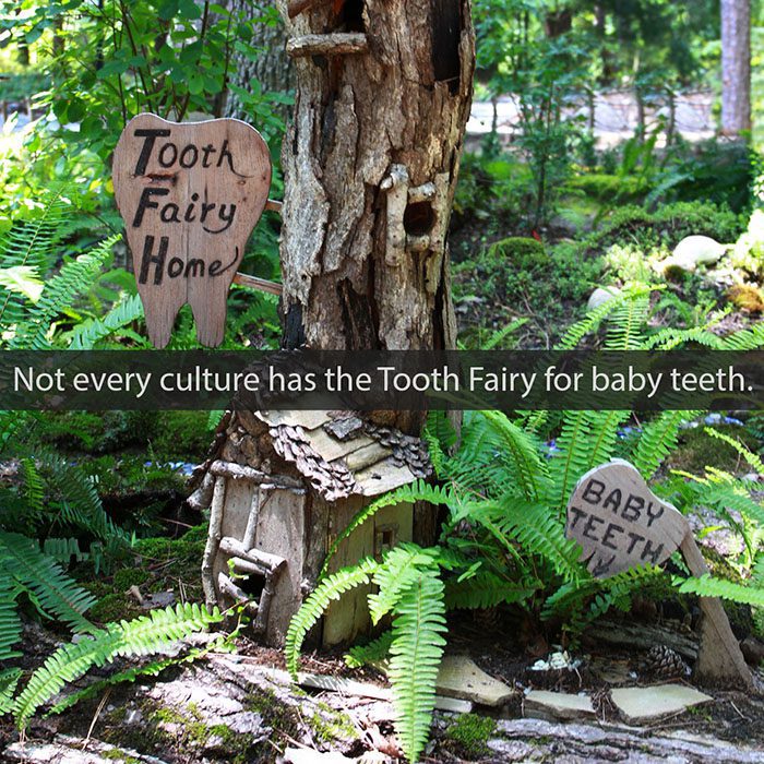 Cobble Creek Dental -